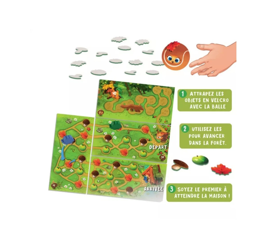 Le Hérisson qui roule à pic