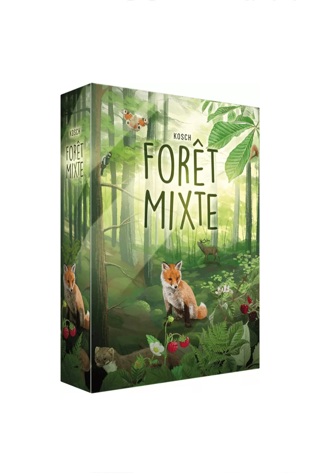 🌳 Forêt Mixte