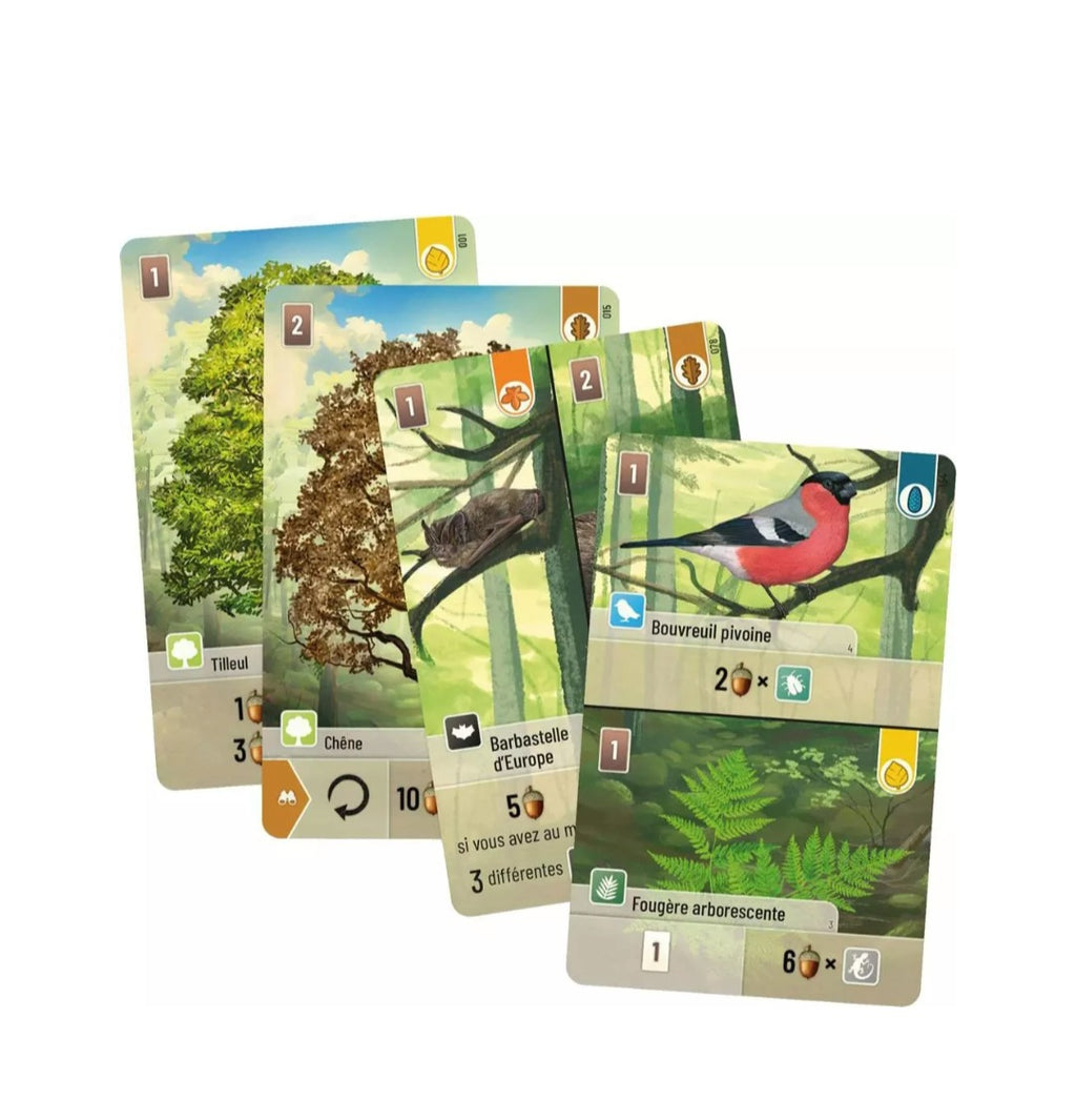 🌳 Forêt Mixte