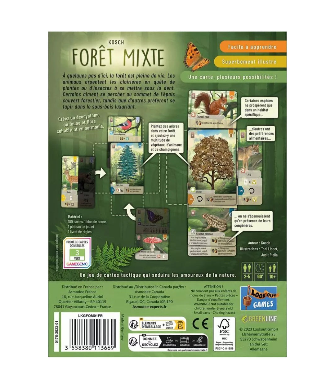 🌳 Forêt Mixte