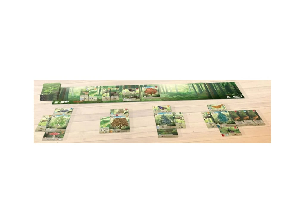 🌳 Forêt Mixte