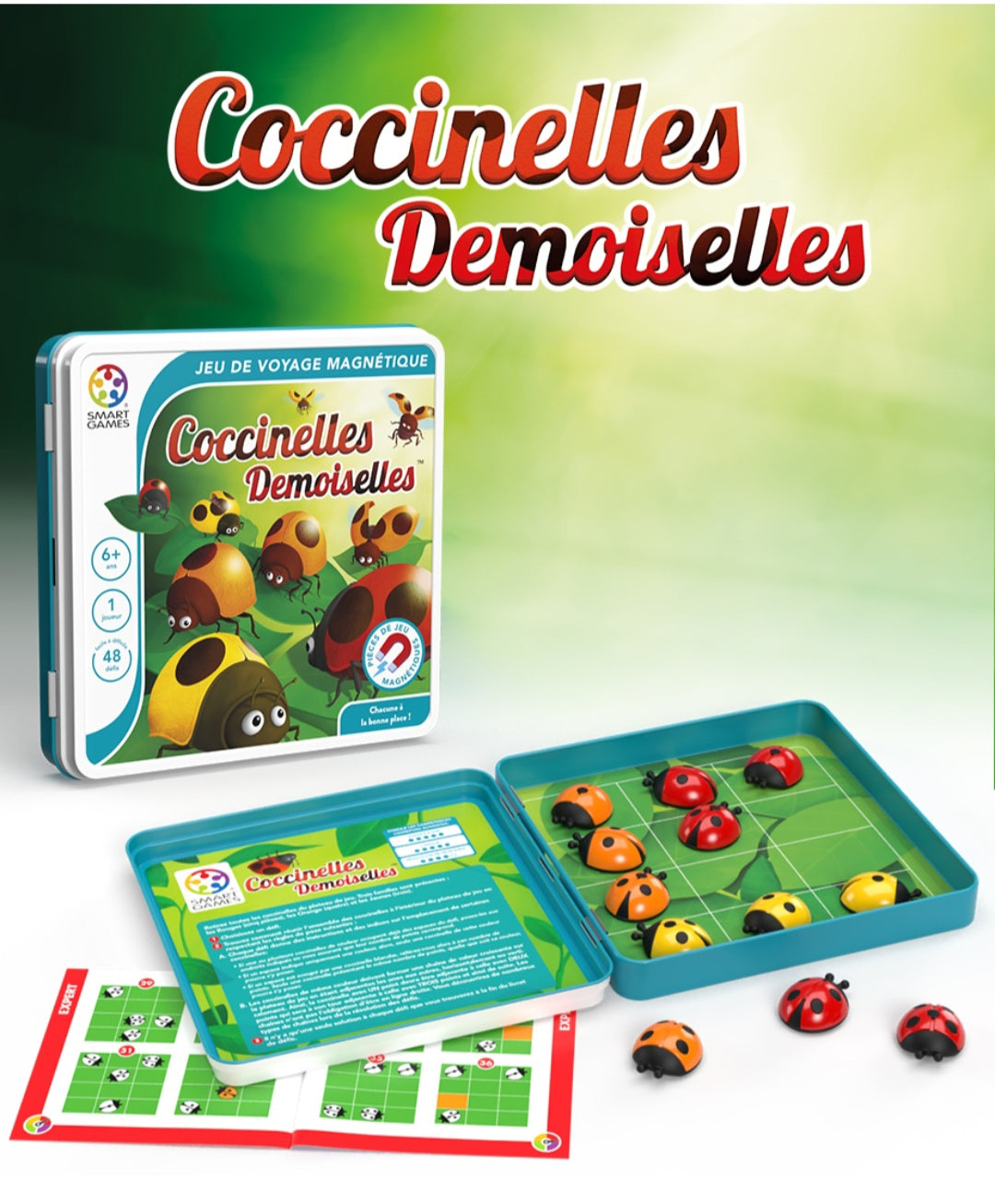 🐞 Coccinelles Demoiselles
