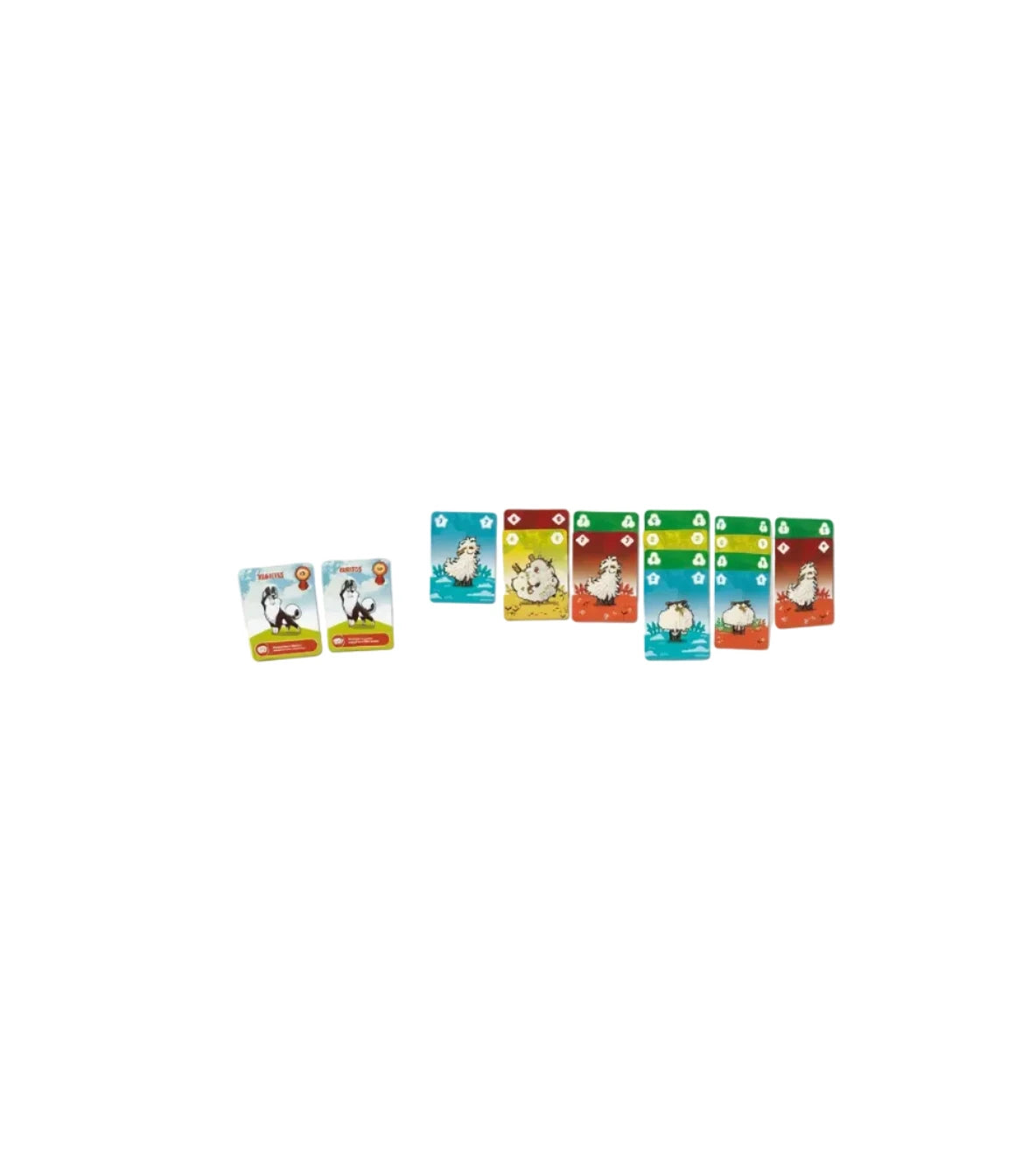 Jeu de cartes 